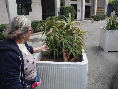 Una dinamica identica a quella avvenuta con i dipendenti di una banca di via Amendola, nei pressi del Campus...
